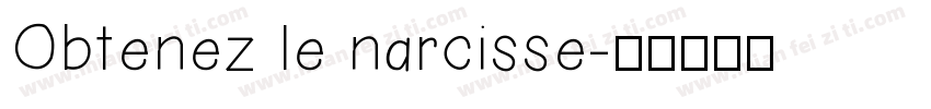 Obtenez le narcisse字体转换